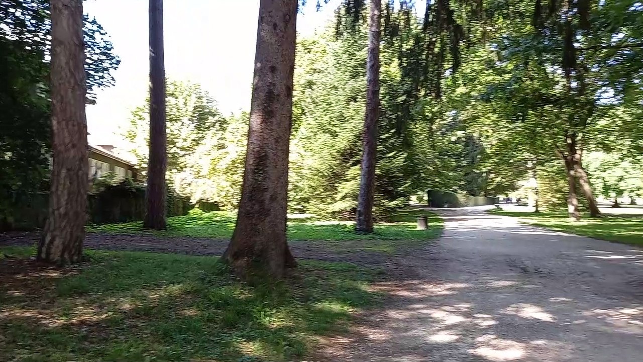 Parc du château de Vizille   Musée de la Révolution française Domaine de Vizille #vizille #châteaudevizille #parc #france #2022 (6)