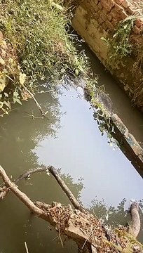 पेयजल पाइप लाइन लीकेज होने से ग्रामीणों की परेशानियां बढ़ी