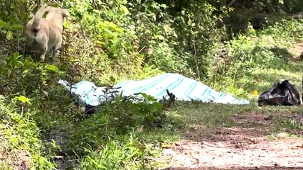 #Feminicidios marcan el inicio del 2020 en Honduras