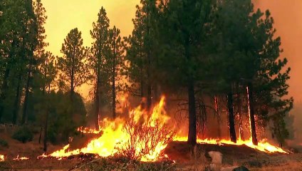 Скачать видео: La ONU advierte que compromisos climáticos están 