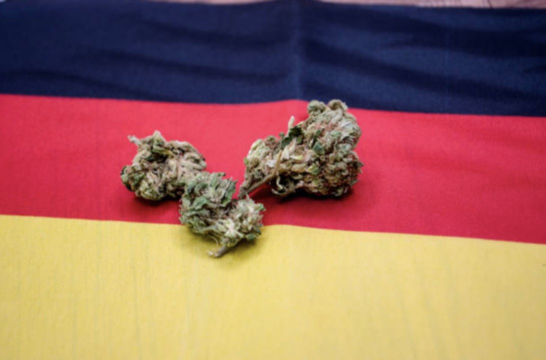 Germany Legalizes Recreational Use of Cannabis