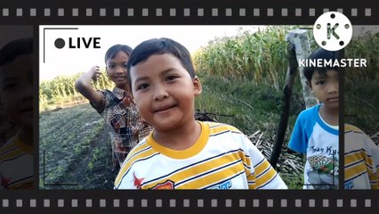 Suatu sore di kampung ku