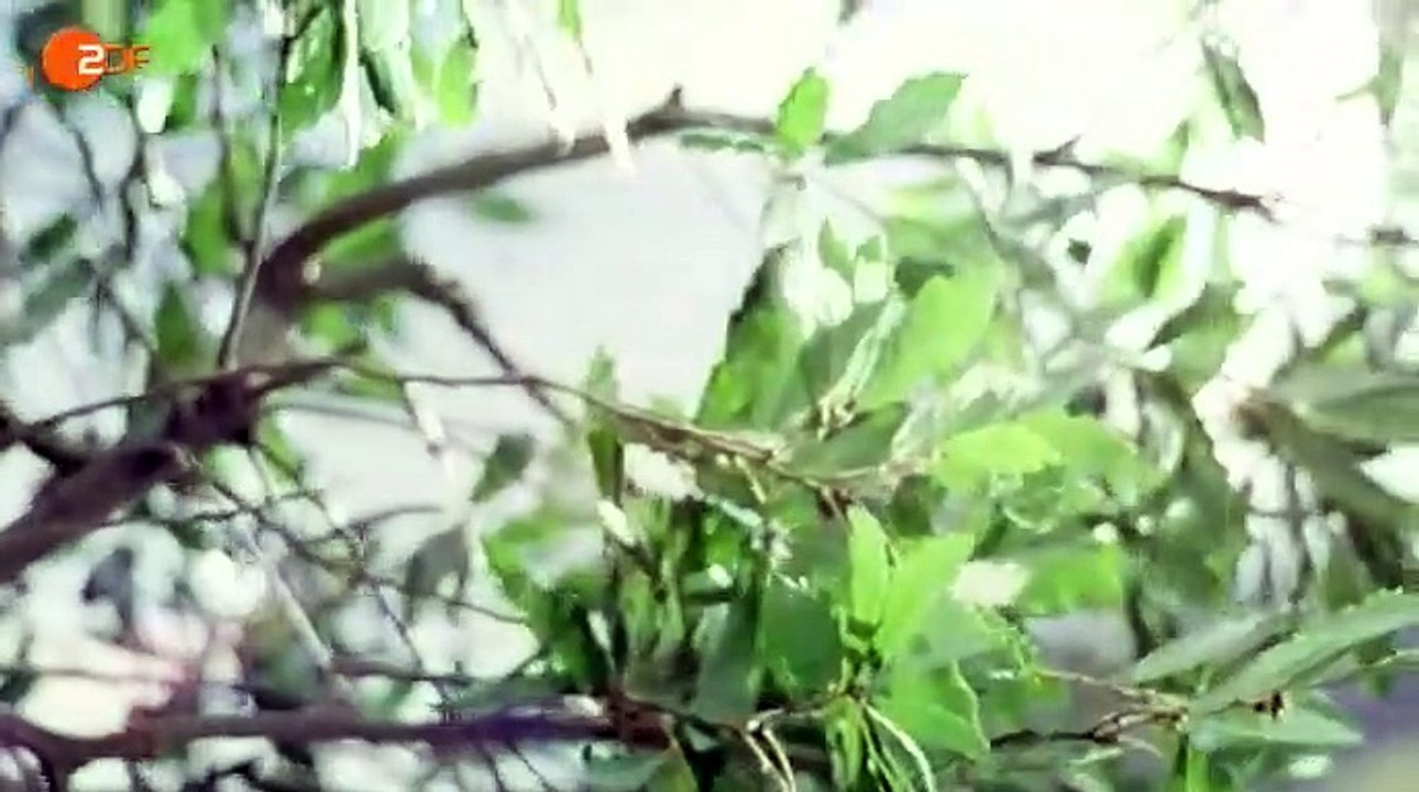 Alisa - Folge deinem Herzen Staffel 1 Folge 94 HD Deutsch