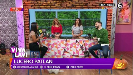 Vivalavi Mx - 26 de octubre del 2022