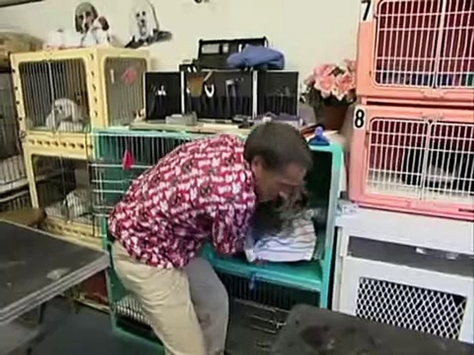 Dirty Jobs - Arbeit, die keiner machen will Staffel 1 Folge 15 HD Deutsch