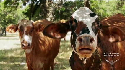 Car Rescue - Ran an den Rost! Staffel 1 Folge 3 HD Deutsch