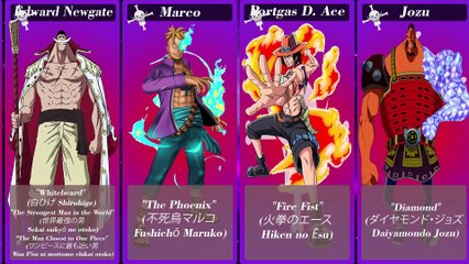 The nicknames of all the characters one piece part 1