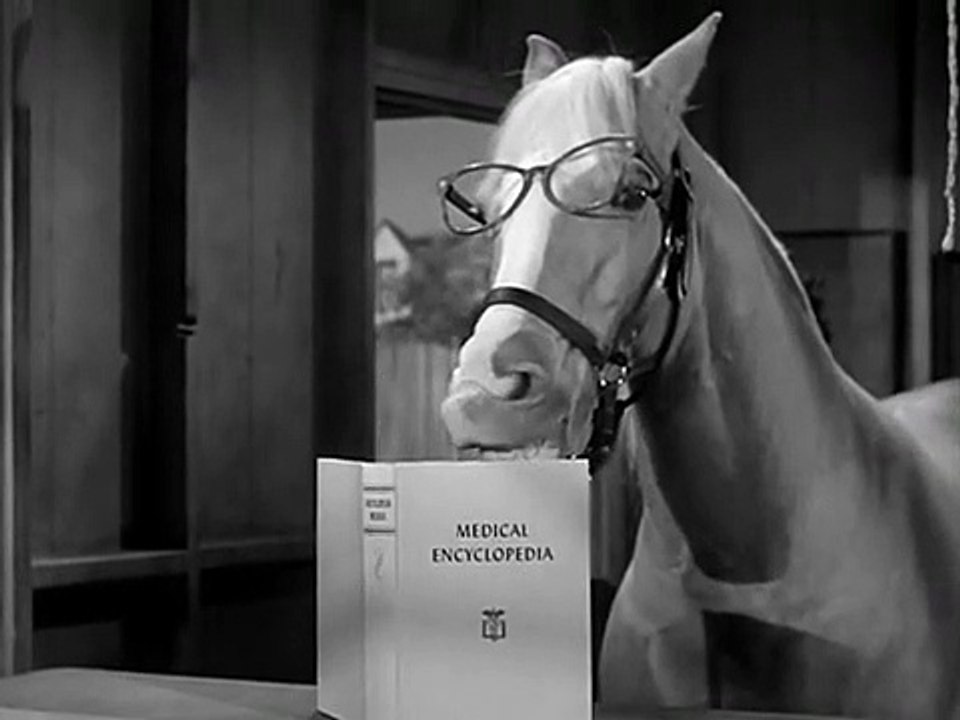 Mr. Ed Staffel 4 Folge 13 HD Deutsch