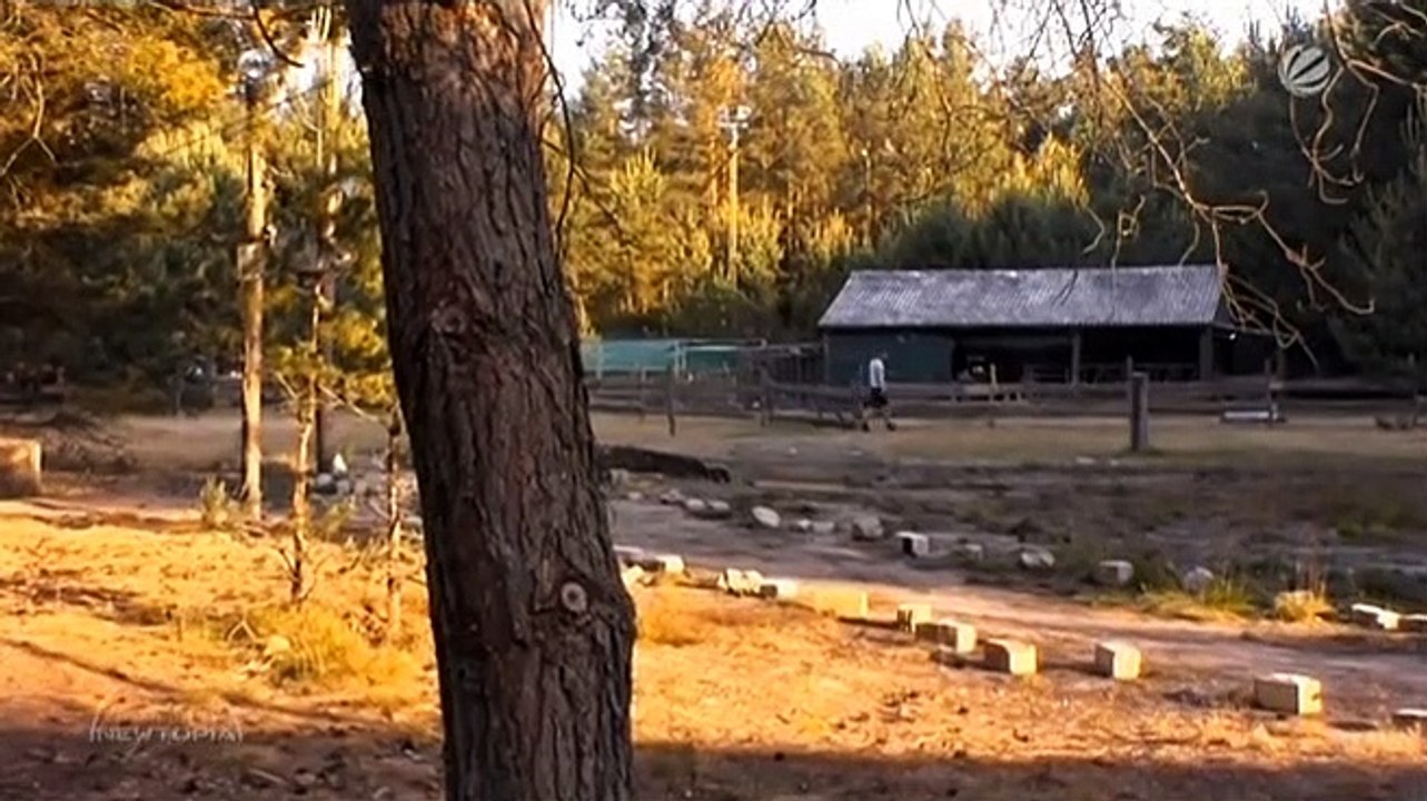 Newtopia Staffel 1 Folge 77 HD Deutsch