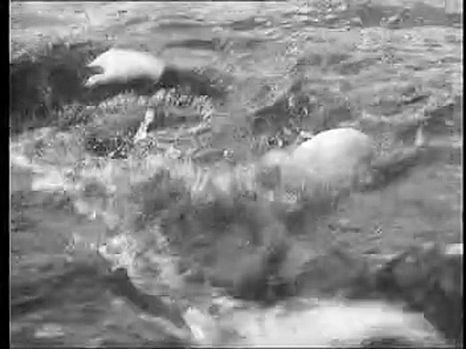 Hafenpolizei Staffel 1 Folge 3 HD Deutsch