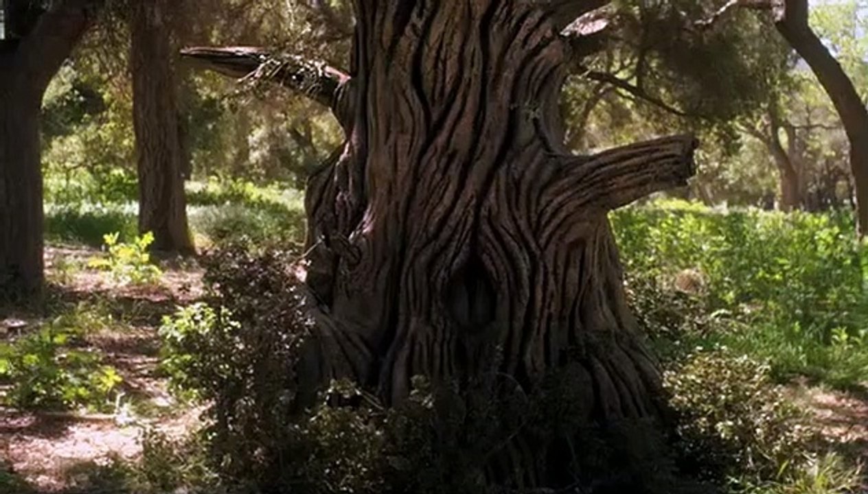 Medium - Nichts bleibt verborgen Staffel 6 Folge 21 HD Deutsch