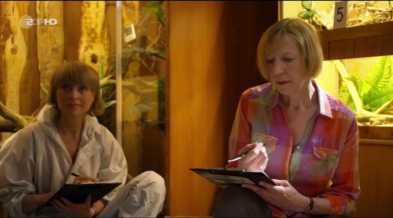 Soko wismar staffel 12 folge 11 hd deutsch