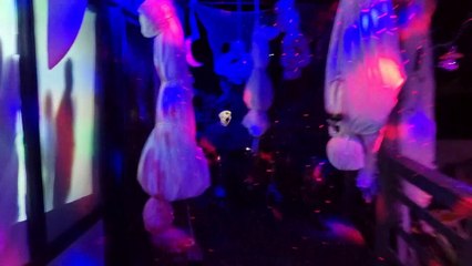 Golden Square Halloween house decorations.