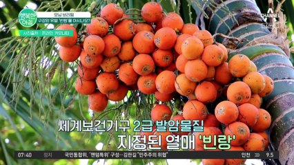 2급 발암물질 '빈랑', 한약재로 국내에 103톤 수입?!