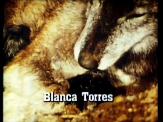 Ambição Capitulo 46 Dublado