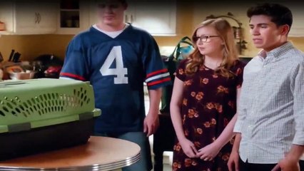 The Real O'Neals Staffel 2 Folge 5 HD Deutsch