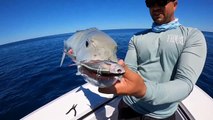 Vlog Jigging Monster - fishing Vidio