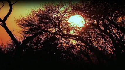 Fish or Die - Angeltrip ins Ungewisse Staffel 1 Folge 2 HD Deutsch