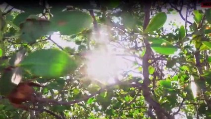 Fish or Die - Angeltrip ins Ungewisse Staffel 1 Folge 6 HD Deutsch