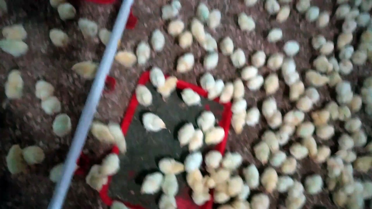 VID_20181015_210823