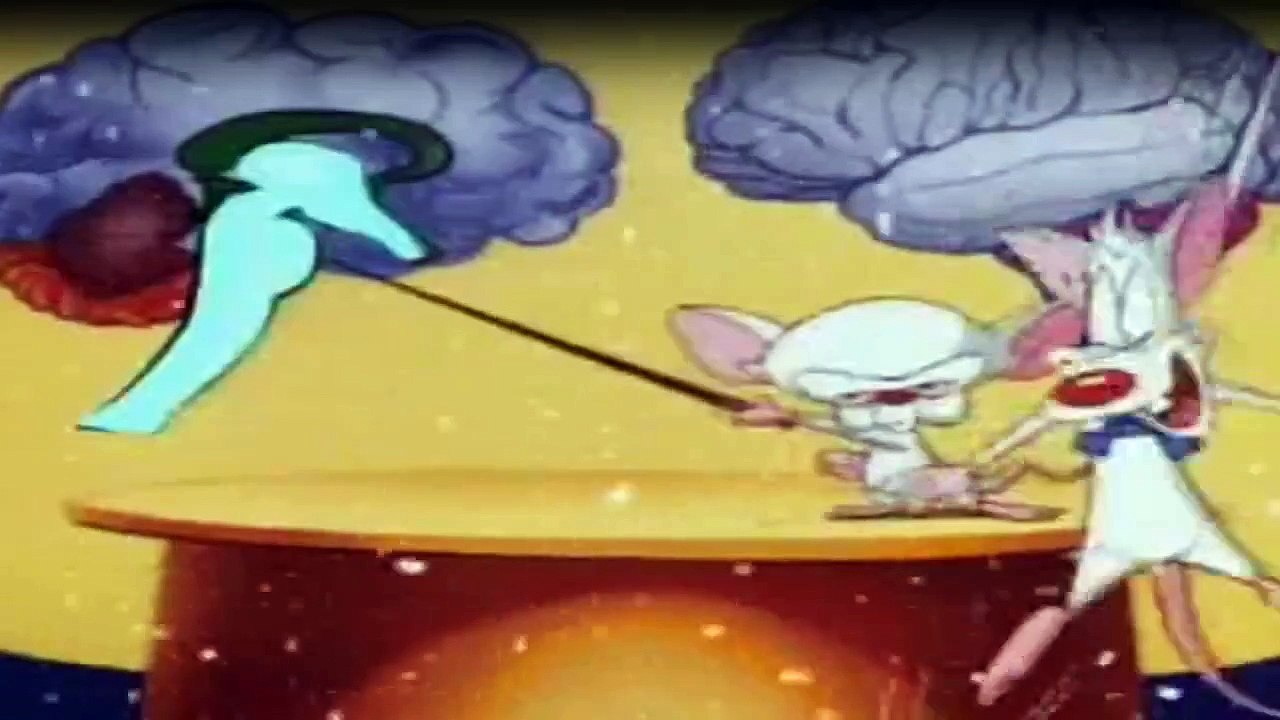 Pinky & der Brain Staffel 1 Folge 8 HD Deutsch