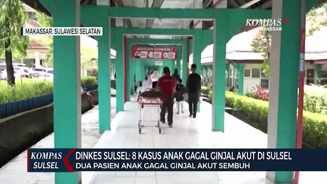 Dinkes Sulsel Catat Delapan Kasus Gagal Ginjal Akut, Dua Pasien Sembuh