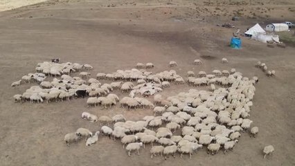 ŞEHİRLERİN LEZZET REKABETİ - Erzincanlılar ve Karamanlılar tulum peynirlerinin lezzetiyle övünüyor