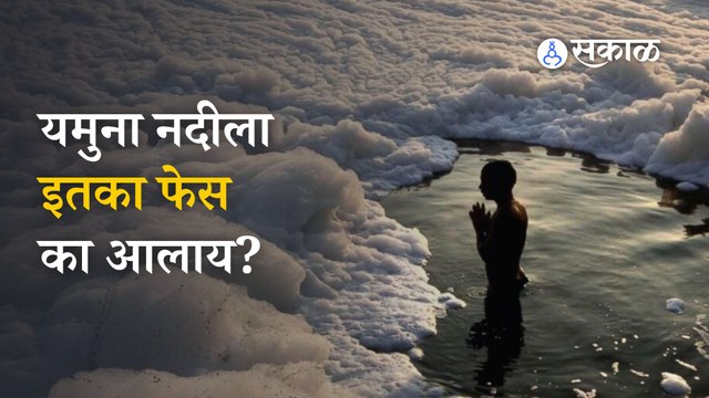 Yamuna River Pollution | राजधानी दिल्लीतील यमुना नदी का फेसाळली? | Sakal Media