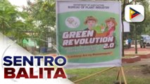 Urban Gardening, pinalakas pa sa ilalim ng Green Revolution 2.0 ng ‘Plants for Bountiful Barangays Movement’