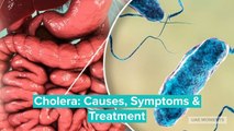 Cholera: Causes, Symptoms & Treatment