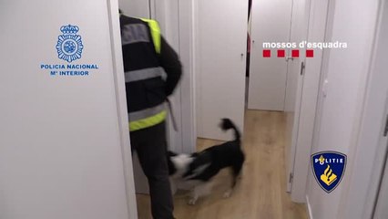 Frustrado el intento de la mafia holandesa 'Mocro Mafia' de instalarse en España