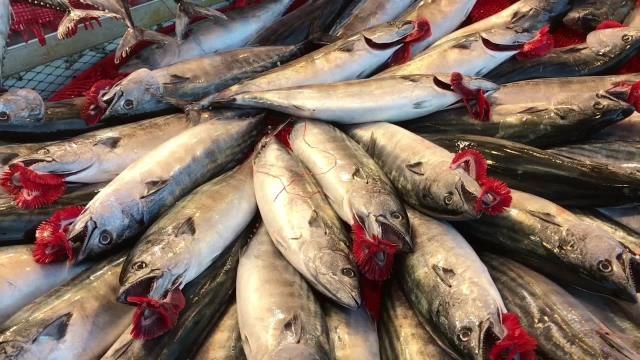 Trabzonlu Balıkçı: Balık Bol Ama Vatandaşın Alım Gücü Yok