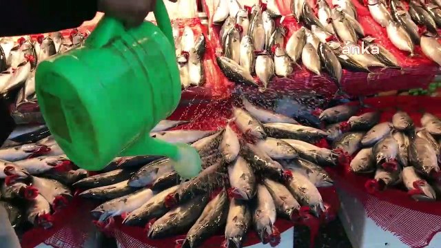 Trabzonlu balıkçı: Balık bol ama vatandaşın alım gücü yok