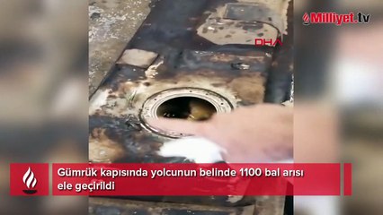Arıları beline sakladı! Şüpheli hareketleri ele verdi