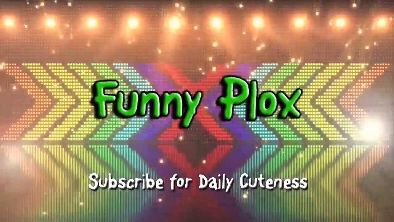 funny videos comedy