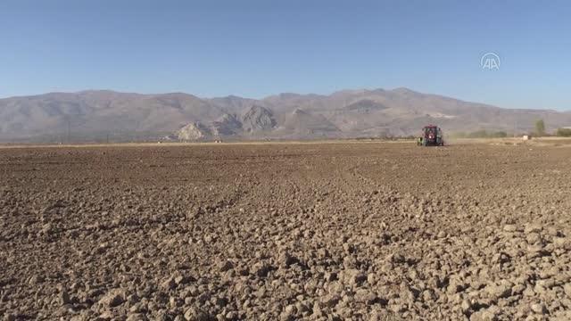 Erzincan Belediyesi ektiği hububatın geliri ile ihtiyaç sahiplerine destek olacak