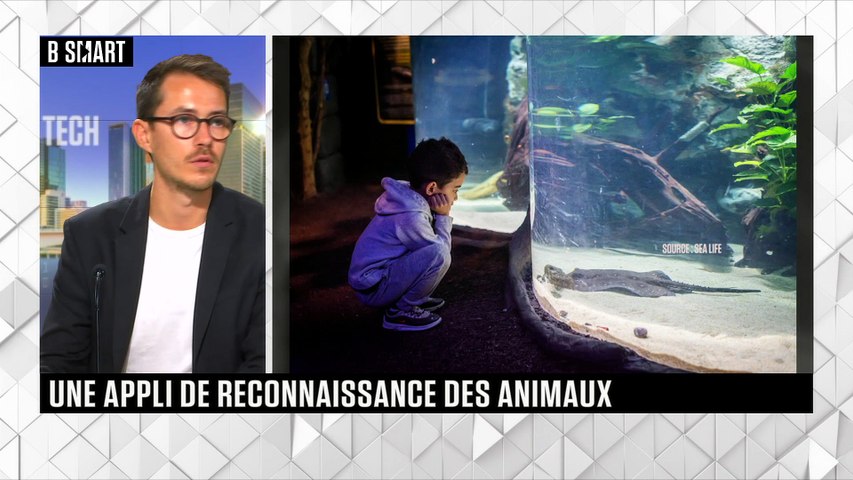 Une appli de reconnaissance des animaux
