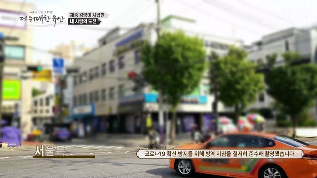 지방세포 흡수를 막아 체지방 감소에 도움을 준 시서스 TV CHOSUN 20221020 방송