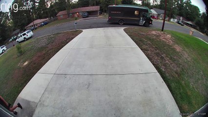 Dog Does Not Deter Delivery Driver