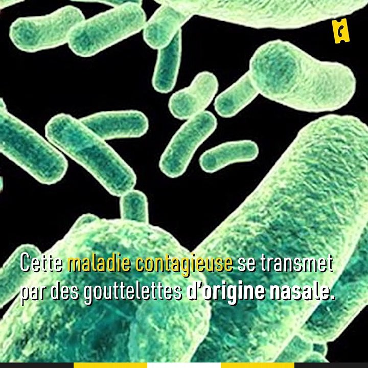 House of the Dragon : de quoi est mort le roi Viserys Targaryen ?