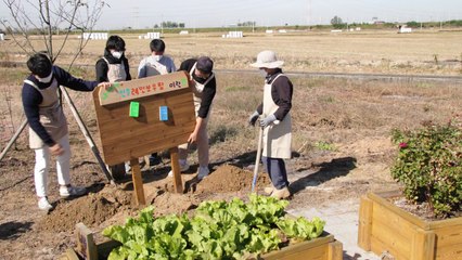 [녹색] 치유농업이 청소년 신체적·정신적 건강에 긍정 효과 / YTN
