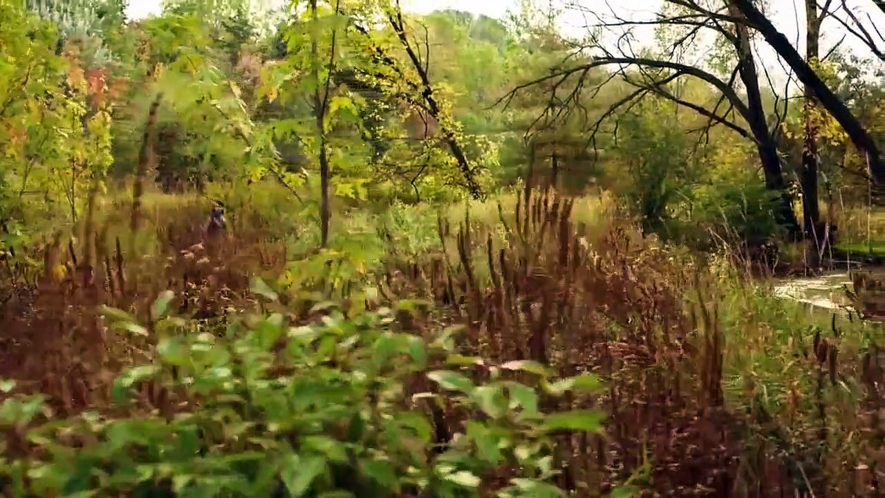 Killjoys - Se1 - Ep06 - One Blood HD Watch HD Deutsch