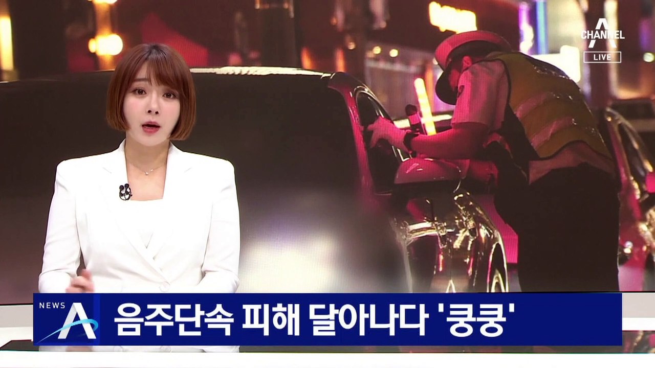음주단속 피해 달아나다 ‘쿵쿵’…시민에 붙잡힌 도주범