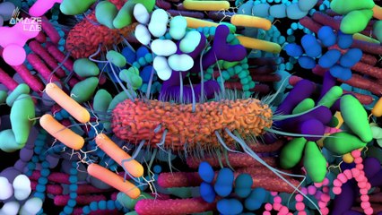 Scientists Say Ancient Microbial Life On Mars Is Likely, Could Contaminate Earth