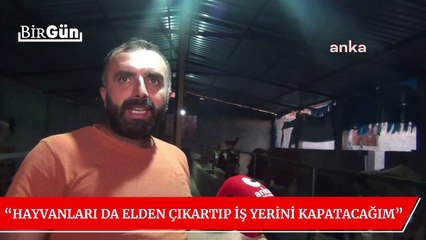 Mardin’de çiftlik kuran üretici: “Sevdiğim bir meslek... 20 inekle başladım, 4 tane kaldı”