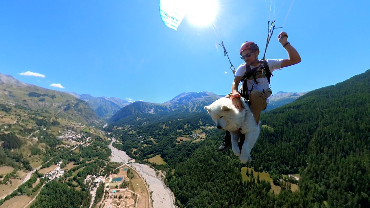 Ouka, le chien qui vole en parapente avec son maître