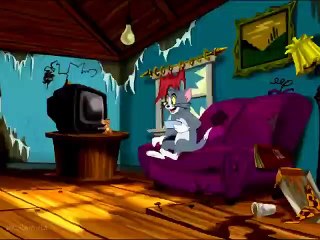 Film Kartun Tom And Jerry