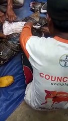 tubuh manusia di temukan dalam perut ular