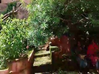 vlog video village #vlog #travelindia #vlogindia #vlog1