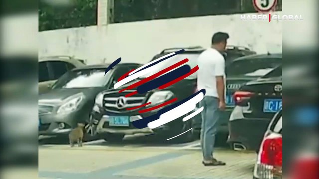 Sıçradı, düştü ama pes etmedi... Kedinin başarısız atlayışları kameraya yansıdı